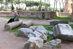http://www.juliesteyer.com/files/gimgs/th-20_palatino © Julie Steyer.jpg